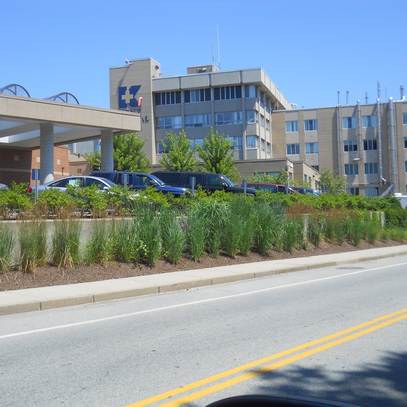 commercial property with nice landscaping